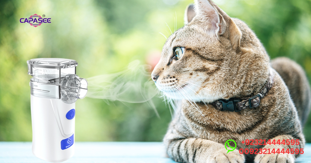 Nebulizer for Cats Pakistan
